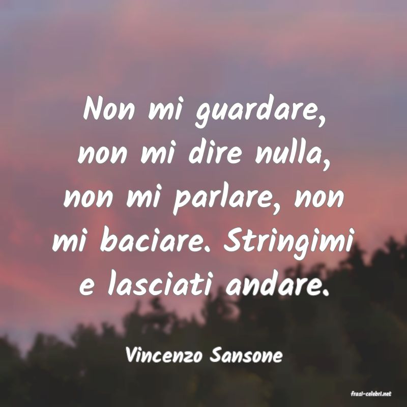 frasi di  Vincenzo Sansone
