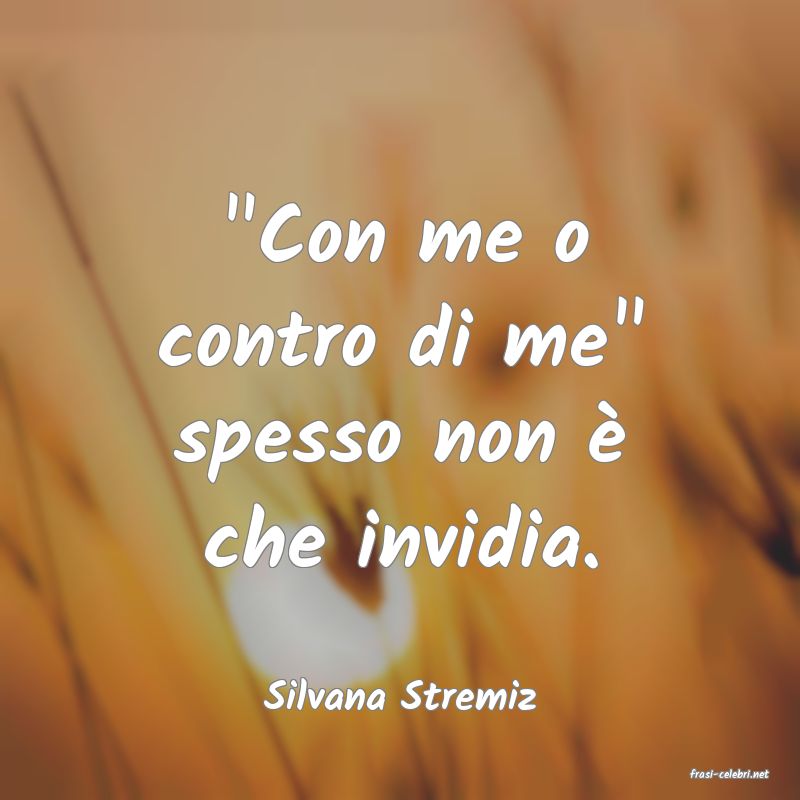 frasi di  Silvana Stremiz
