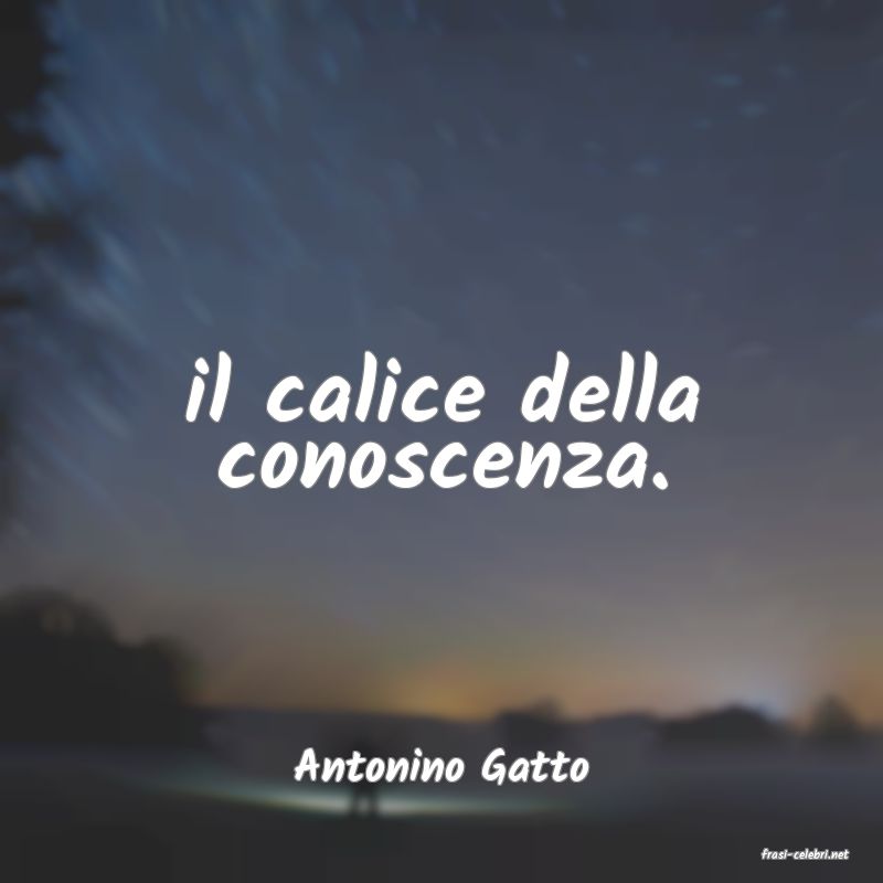 frasi di  Antonino Gatto
