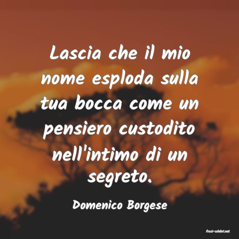 frasi di  Domenico Borgese
