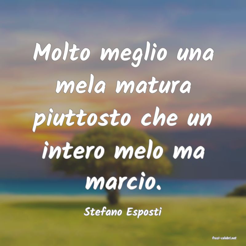 frasi di  Stefano Esposti
