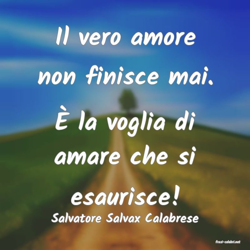 frasi di  Salvatore Salvax Calabrese
