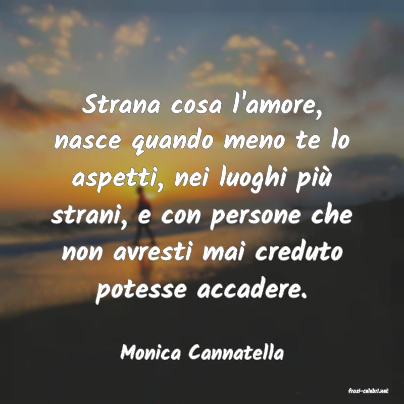 frasi di  Monica Cannatella
