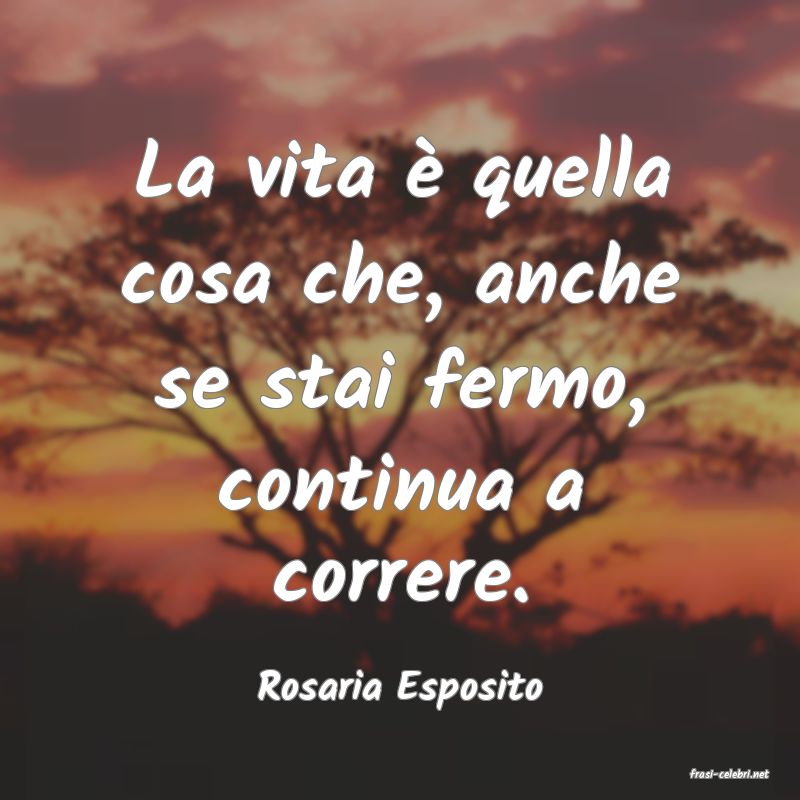 frasi di  Rosaria Esposito
