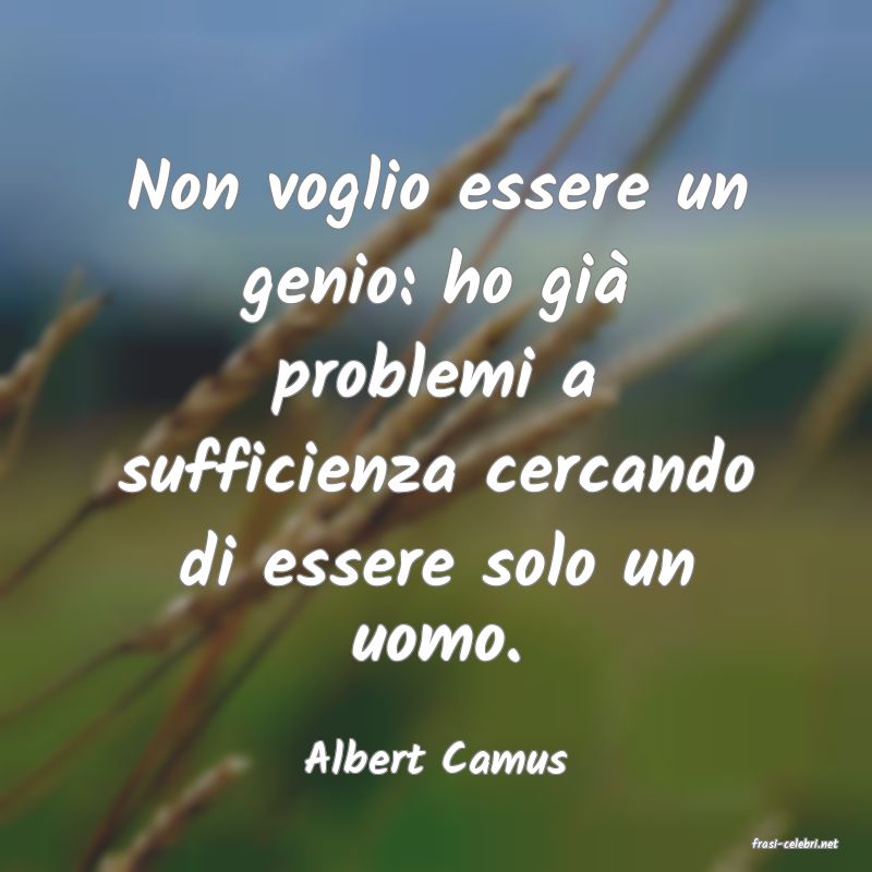 frasi di  Albert Camus
