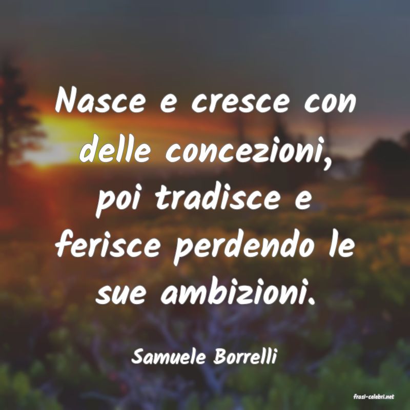 frasi di  Samuele Borrelli
