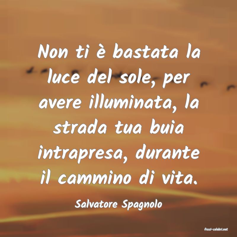 frasi di  Salvatore Spagnolo
