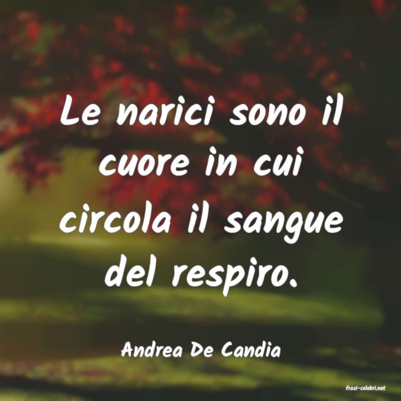 frasi di  Andrea De Candia
