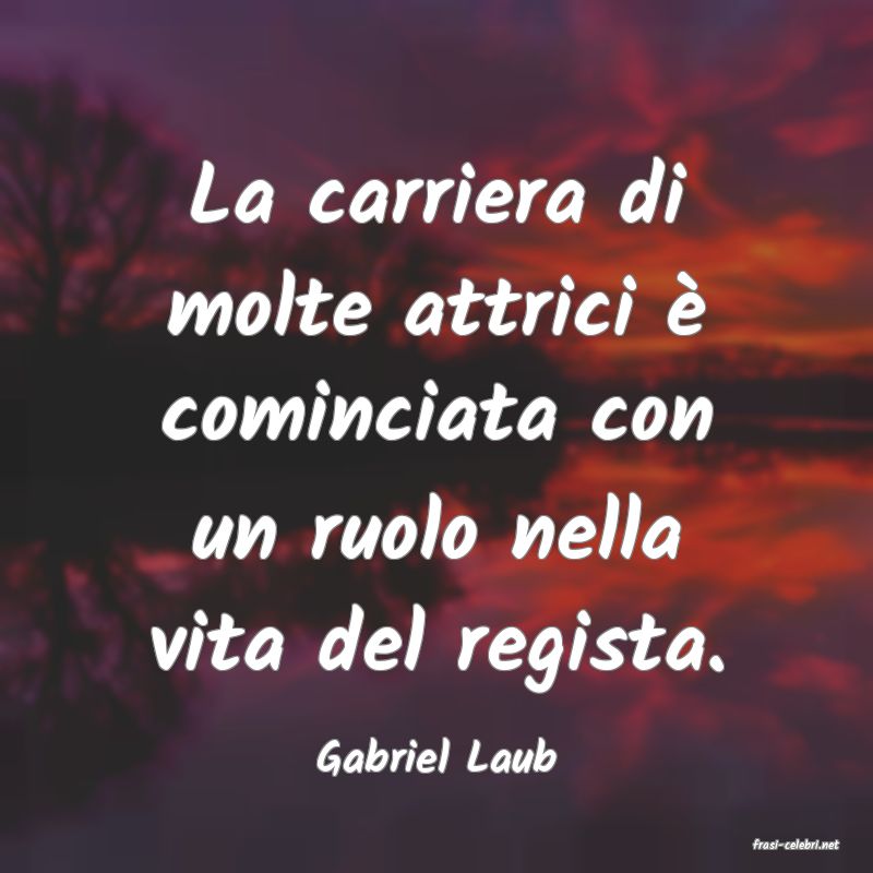 frasi di  Gabriel Laub
