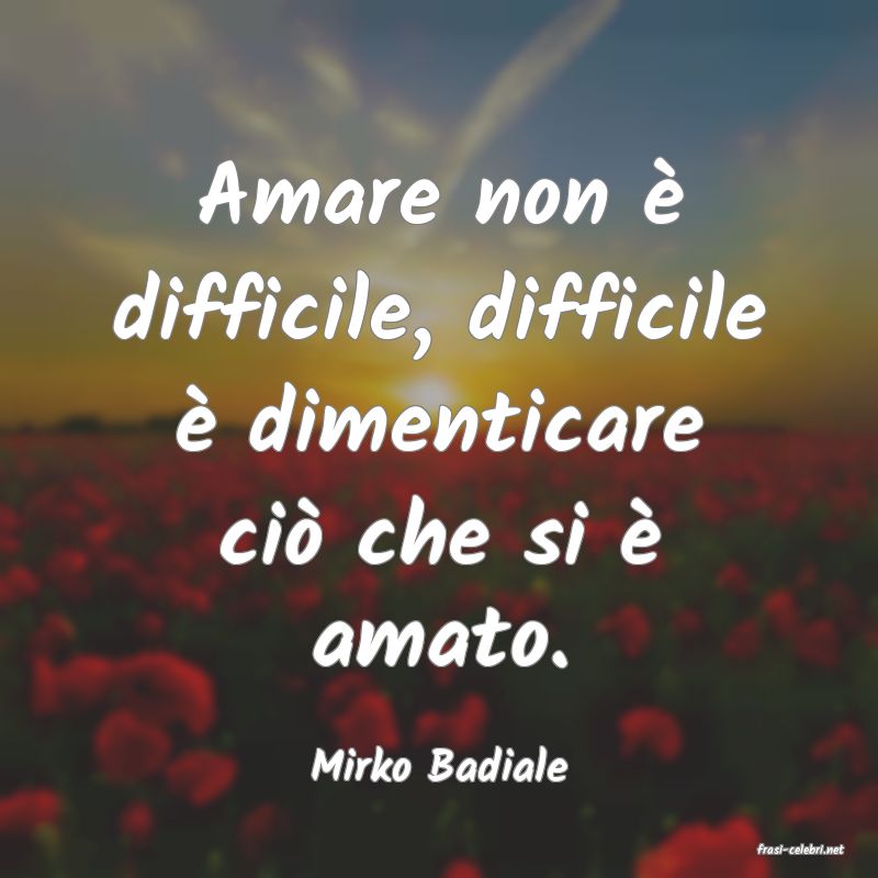 frasi di  Mirko Badiale
