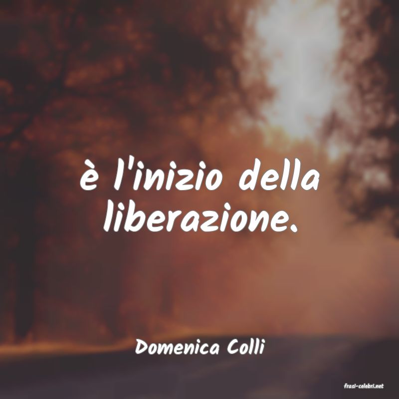 frasi di  Domenica Colli
