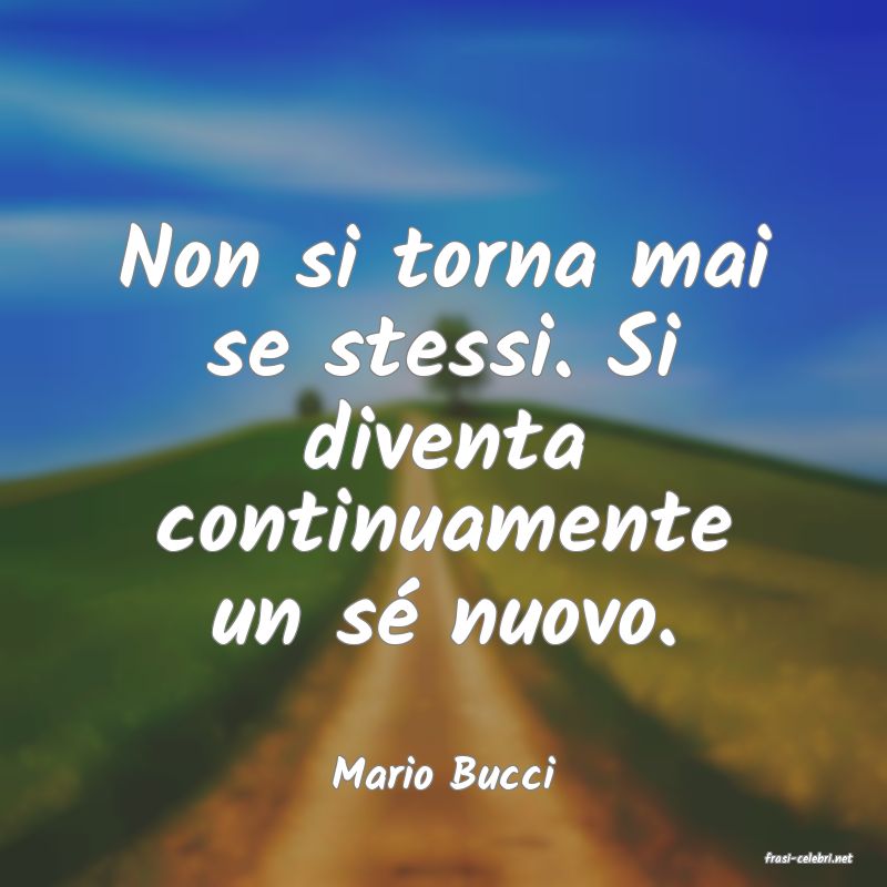 frasi di  Mario Bucci
