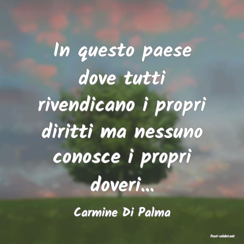 frasi di  Carmine Di Palma
