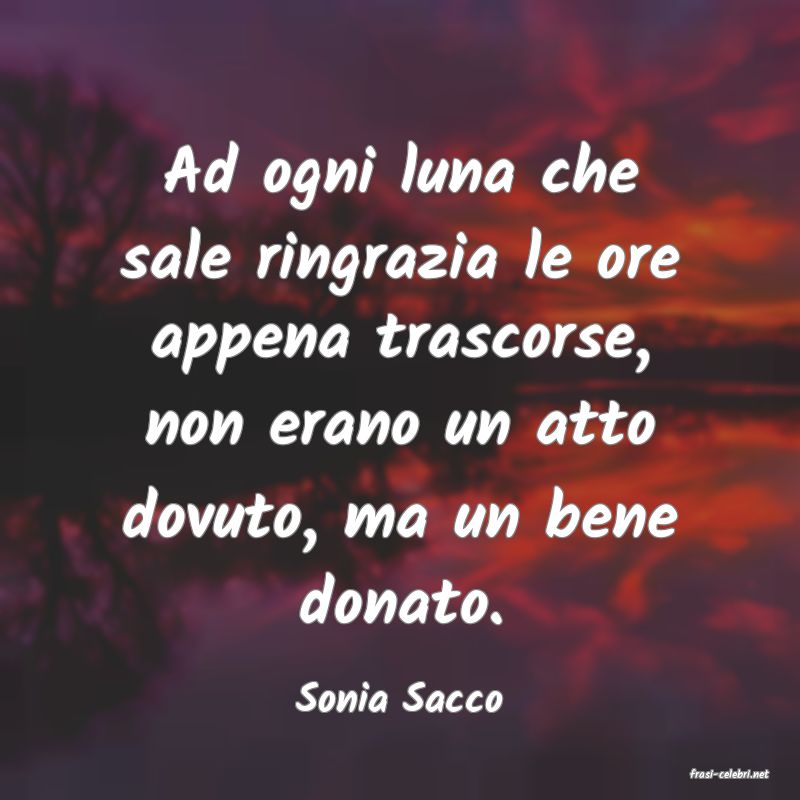 frasi di  Sonia Sacco
