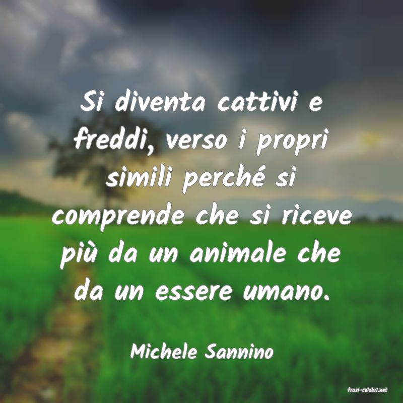 frasi di  Michele Sannino
