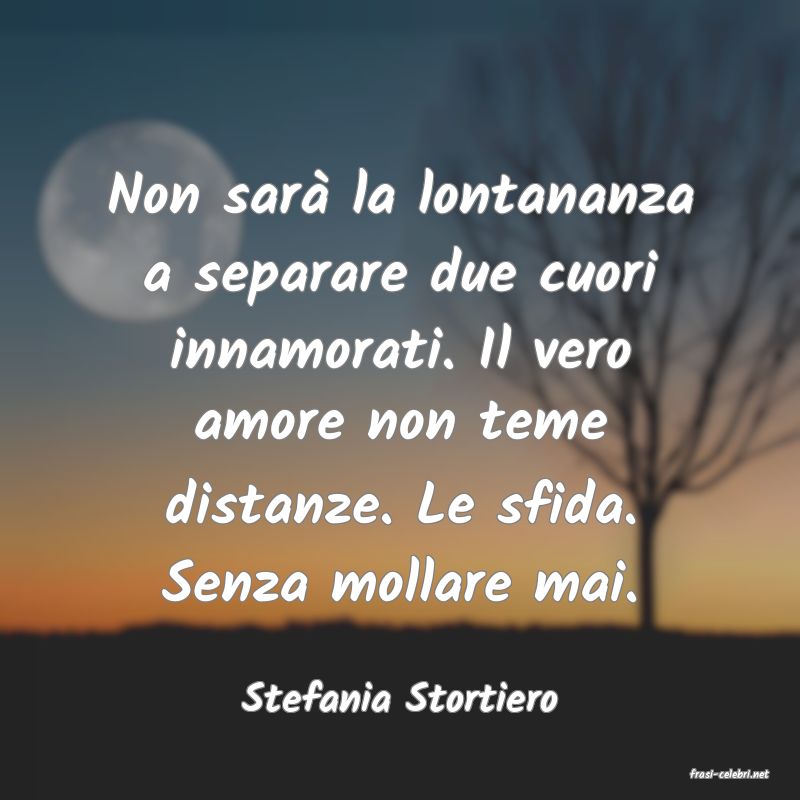 frasi di  Stefania Stortiero
