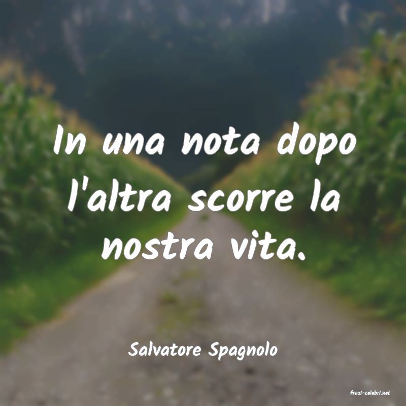 frasi di  Salvatore Spagnolo
