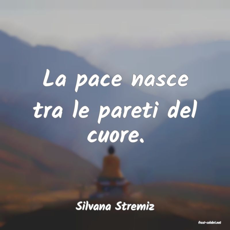 frasi di Silvana Stremiz