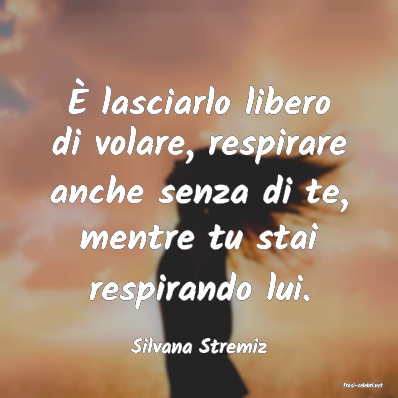 frasi di  Silvana Stremiz
