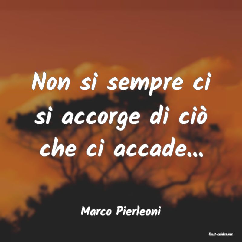 frasi di  Marco Pierleoni
