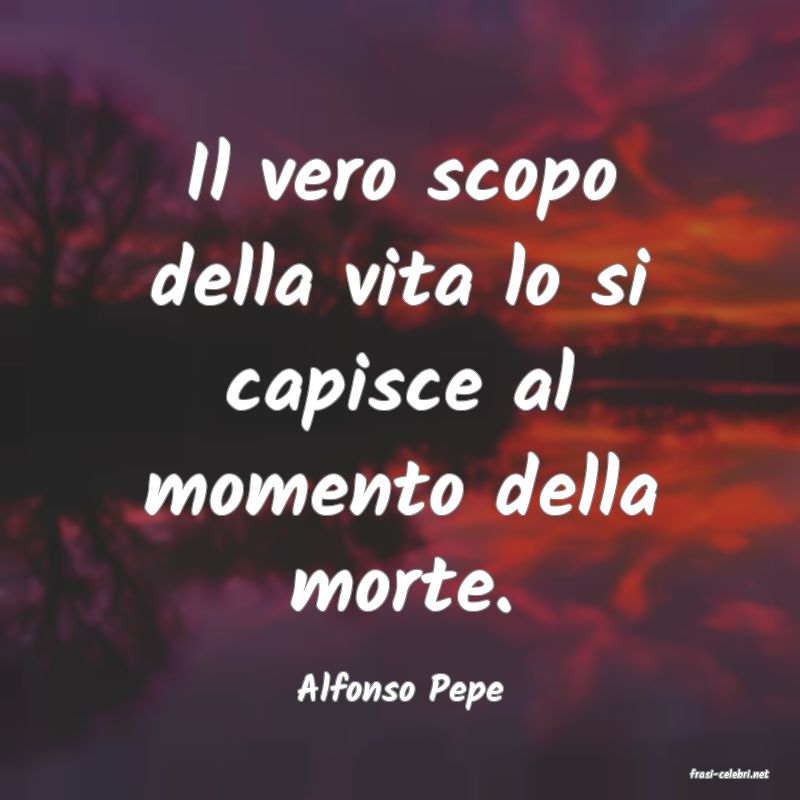 frasi di  Alfonso Pepe
