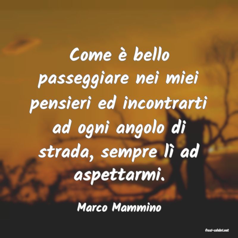 frasi di  Marco Mammino
