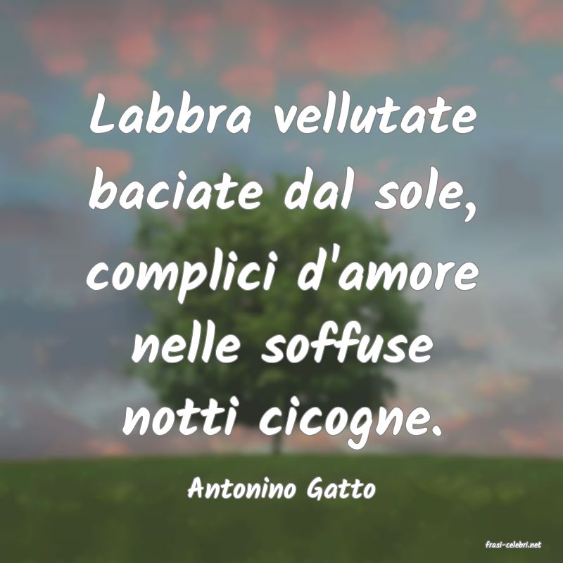 frasi di  Antonino Gatto
