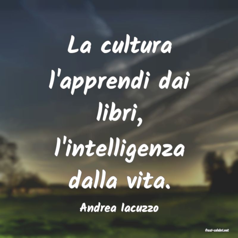 frasi di  Andrea Iacuzzo
