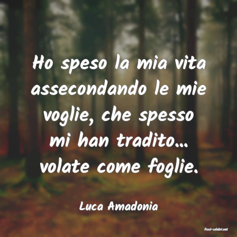 frasi di  Luca Amadonia
