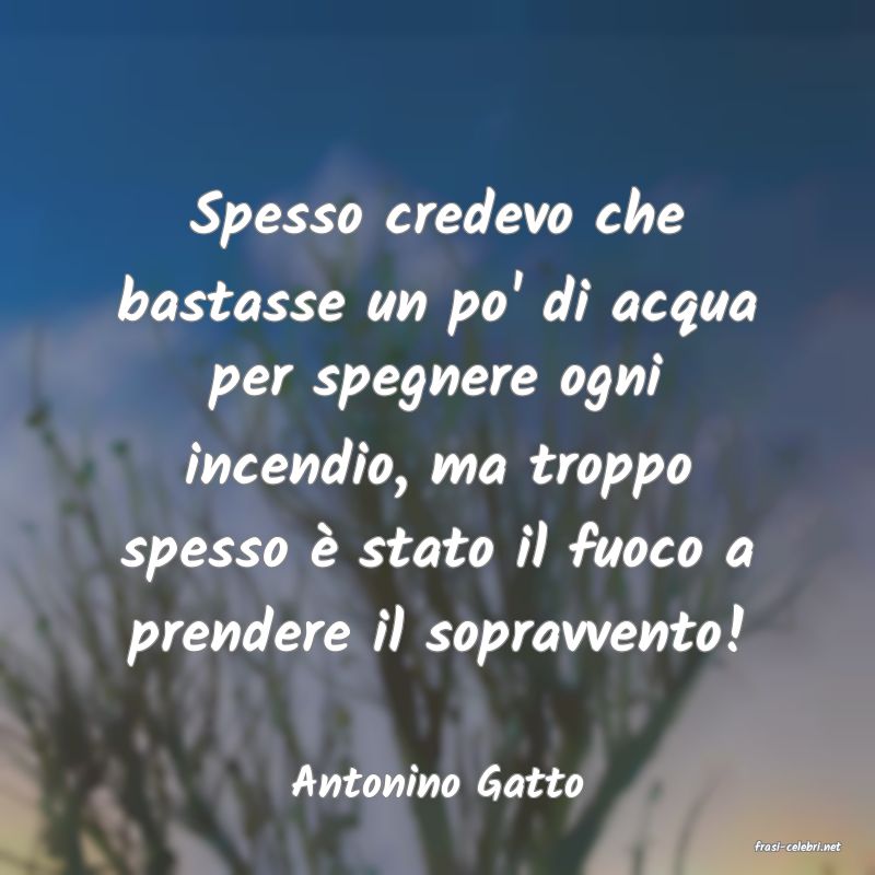 frasi di Antonino Gatto