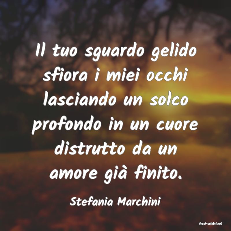 frasi di  Stefania Marchini
