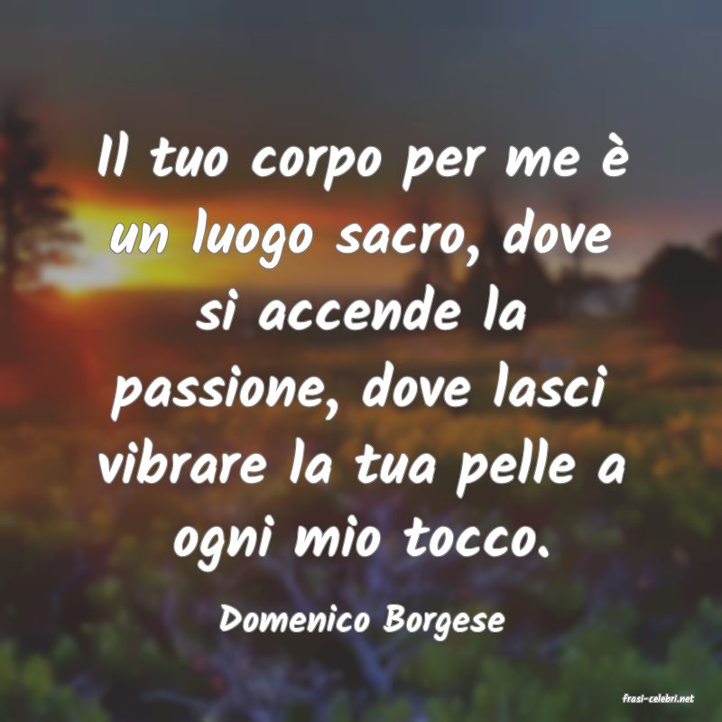 frasi di  Domenico Borgese
