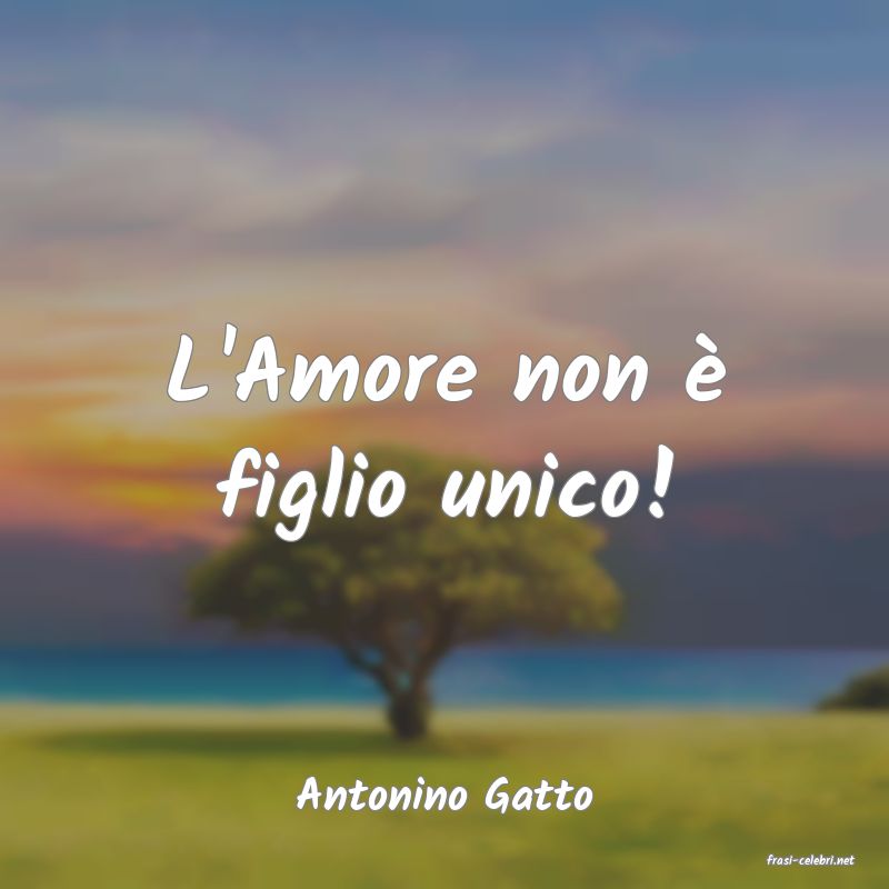 frasi di Antonino Gatto