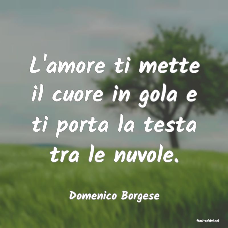 frasi di  Domenico Borgese
