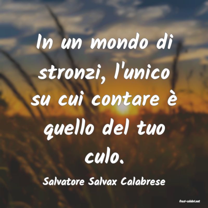 frasi di  Salvatore Salvax Calabrese
