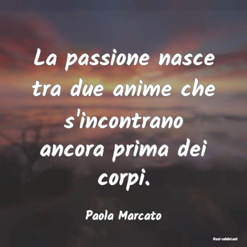 frasi di  Paola Marcato
