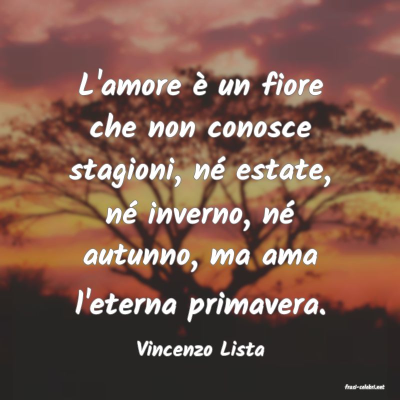 frasi di  Vincenzo Lista
