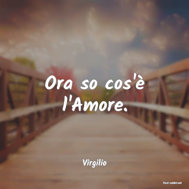 frasi di  Virgilio
