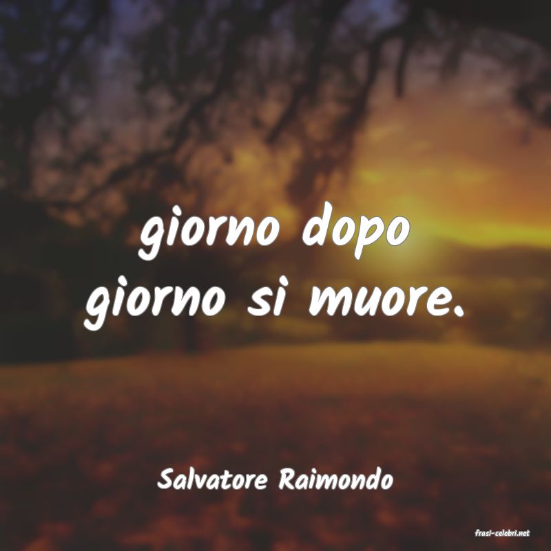 frasi di  Salvatore Raimondo
