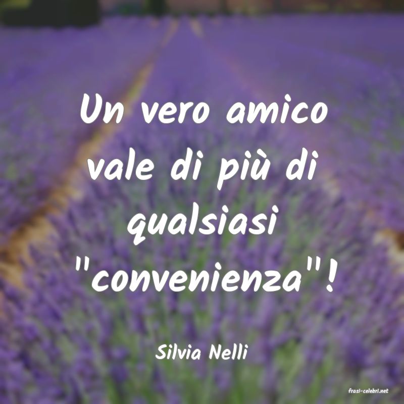 frasi di  Silvia Nelli
