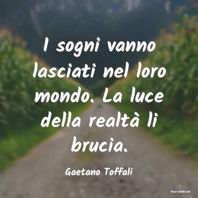 frasi di  Gaetano Toffali
