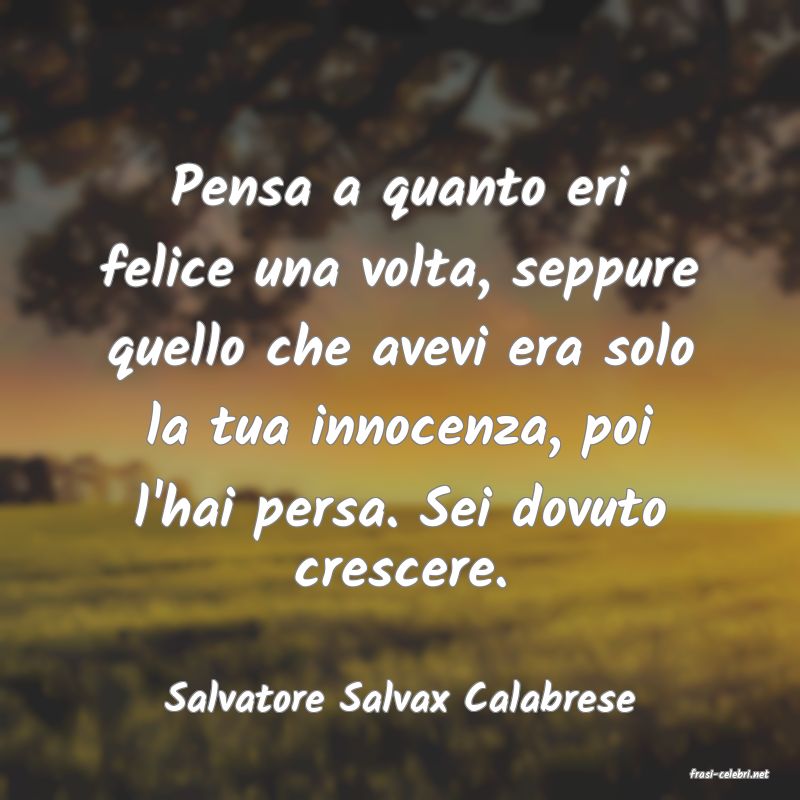 frasi di  Salvatore Salvax Calabrese
