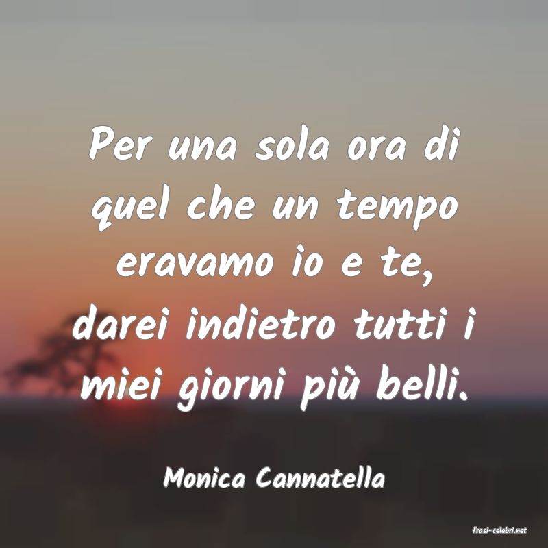 frasi di  Monica Cannatella
