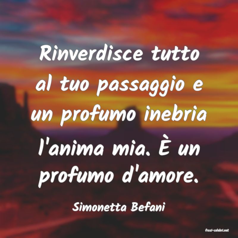 frasi di  Simonetta Befani
