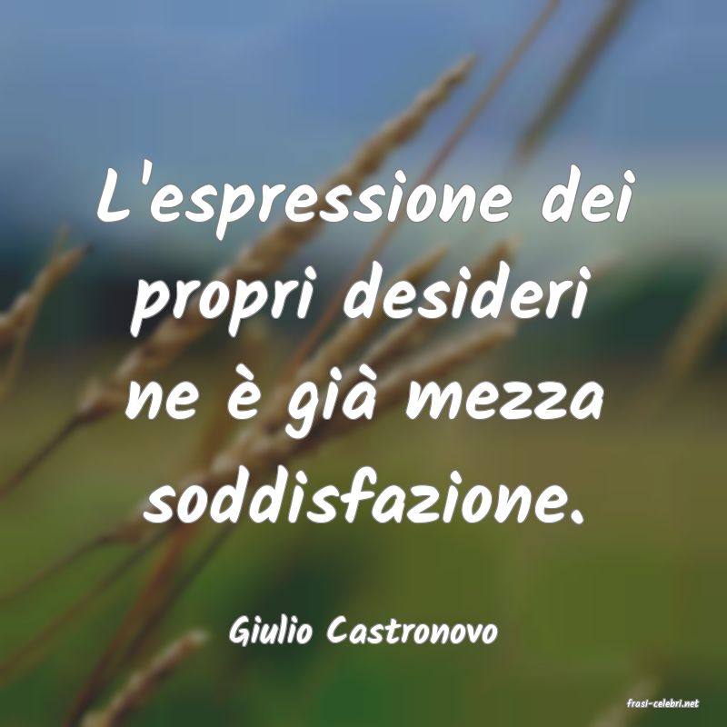 frasi di  Giulio Castronovo
