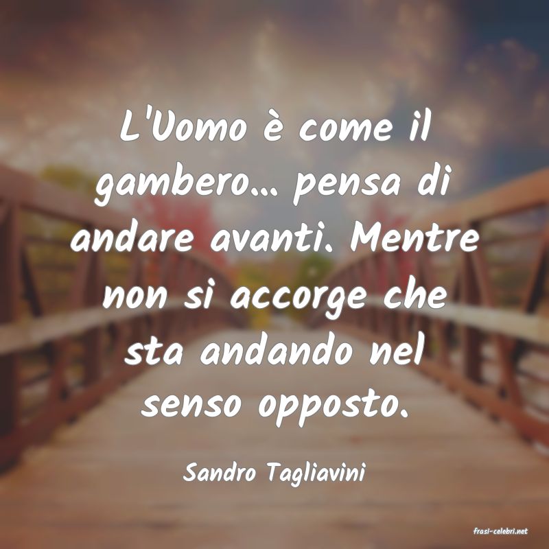 frasi di  Sandro Tagliavini
