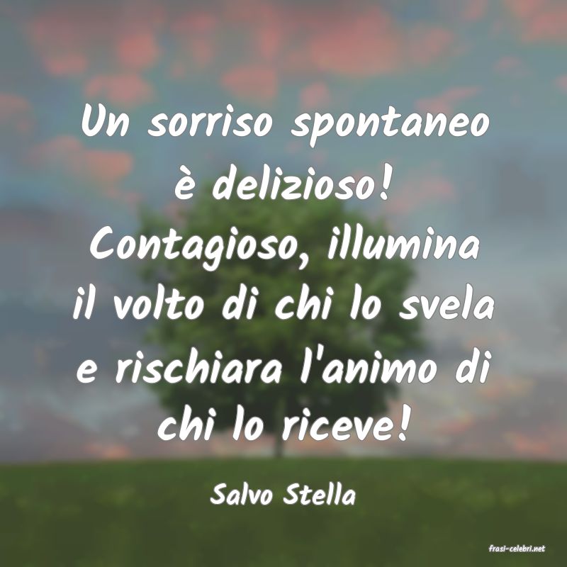 frasi di  Salvo Stella
