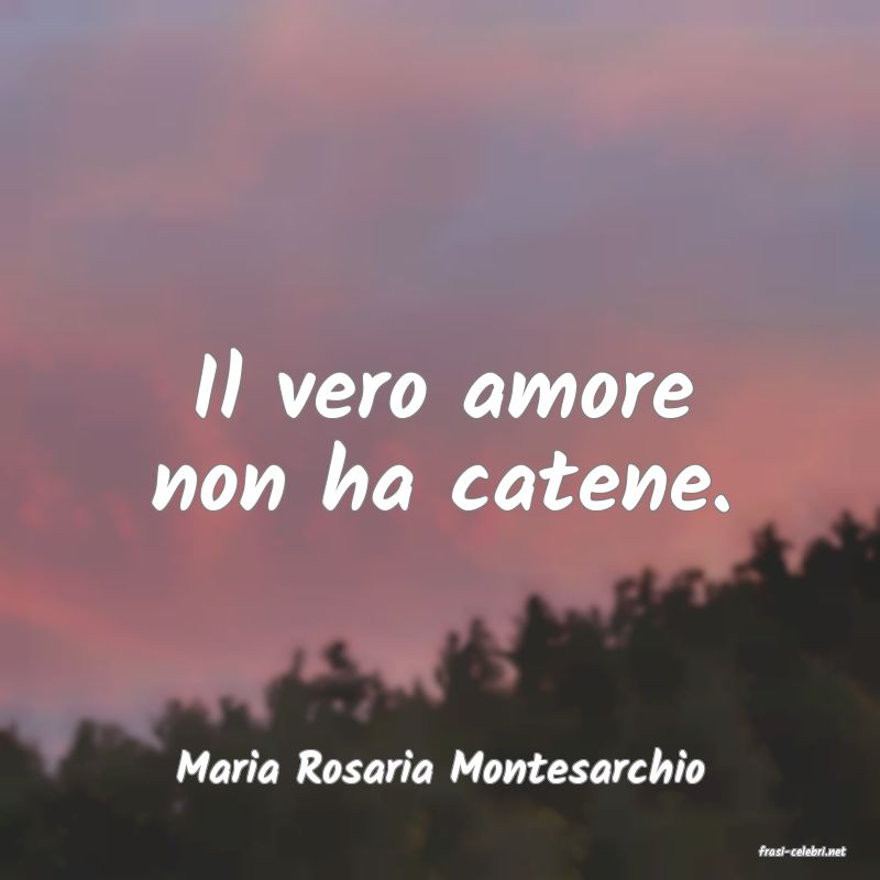 frasi di  Maria Rosaria Montesarchio
