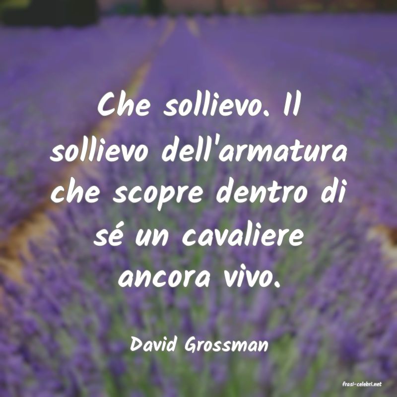 frasi di  David Grossman
