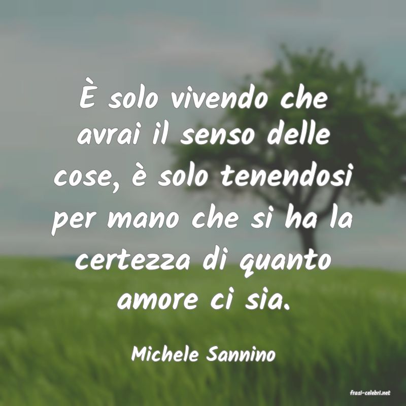 frasi di  Michele Sannino
